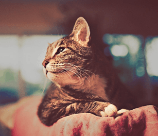 低空無人機測繪:高效、精確、廣泛應(yīng)用的新興技術(shù)