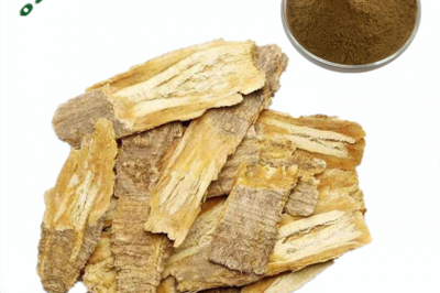 歐澤生物飼料級(jí)黃芪提取物 畜牧業(yè)綠色養(yǎng)殖的新寵