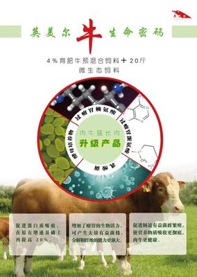 飼料科學 肉牛吃什么長得快？——高效增重的飼料搭配策略