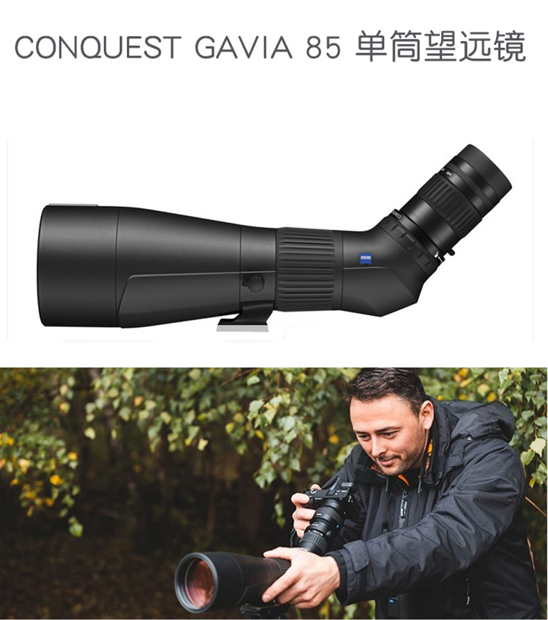 gavia2.jpg gavia2.jpg